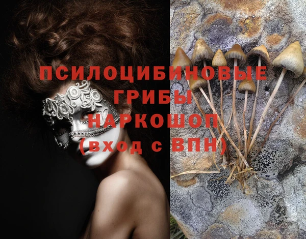 ешки Алексин