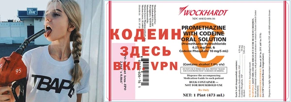 индика Сафоново