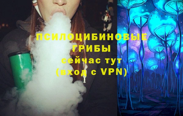 тгк Алзамай