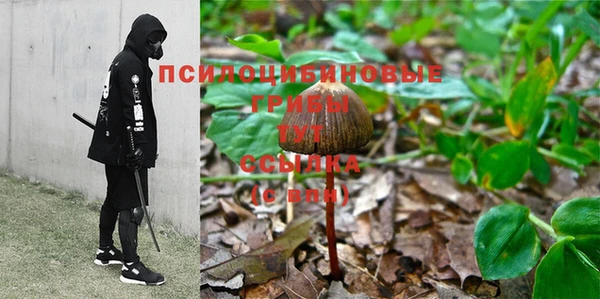 индика Сафоново