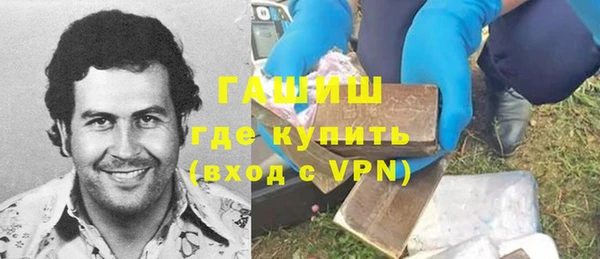 ешки Алексин